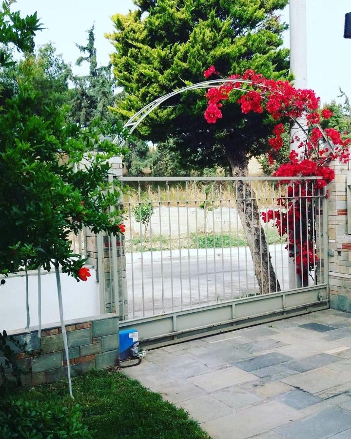Fantastic Villa, A 5 Minute Drive From The Beach! Athen Exterior foto