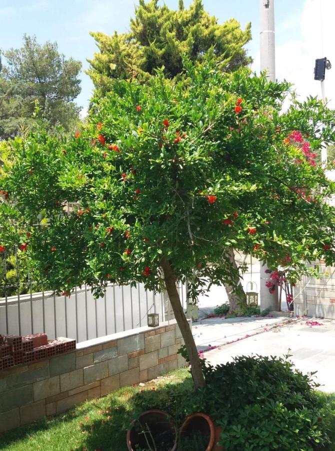 Fantastic Villa, A 5 Minute Drive From The Beach! Athen Exterior foto