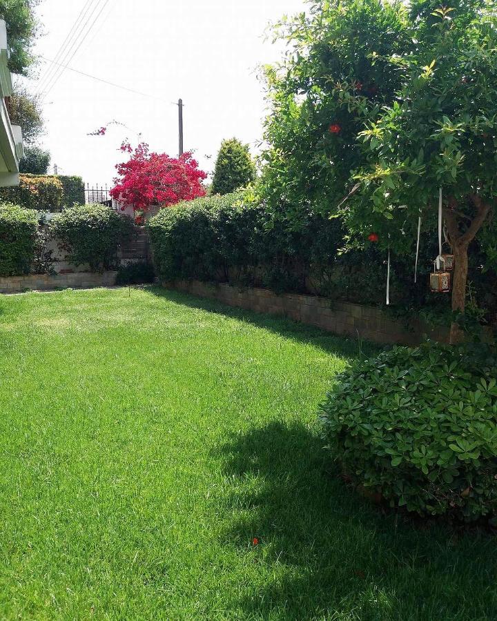 Fantastic Villa, A 5 Minute Drive From The Beach! Athen Exterior foto