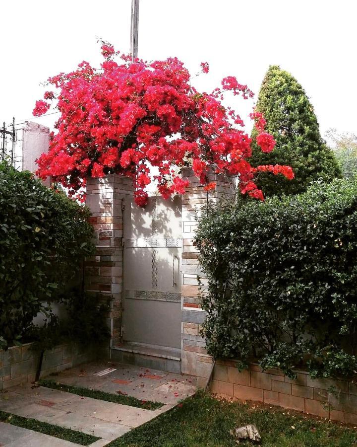 Fantastic Villa, A 5 Minute Drive From The Beach! Athen Exterior foto